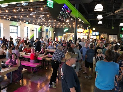 Precarious Beer Project